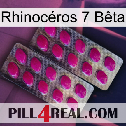 Rhinocéros 7 Bêta 10